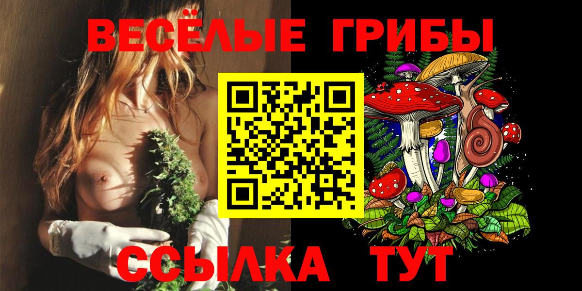 Псилоцибиновые грибы Cubensis Барнаул